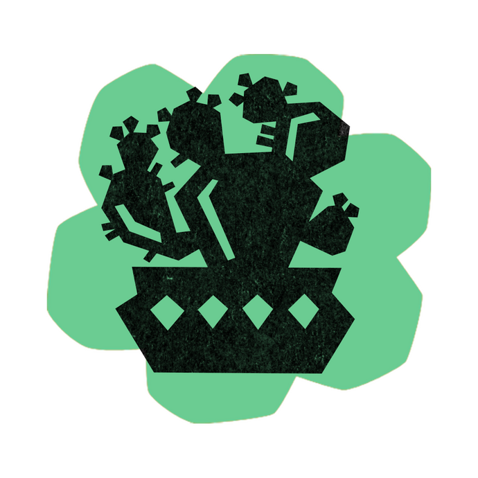 Icon of cactus on a lime green shape